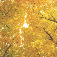 マンション売却10-8